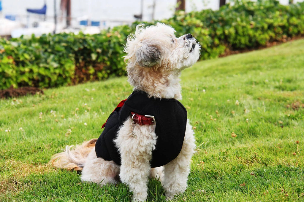 Healers Dog Anxiety Vest and Body Wrap,Front Module, Helps Reduce Anxiety and Protect Pet Post Surgery, Pet Apparel,Medium