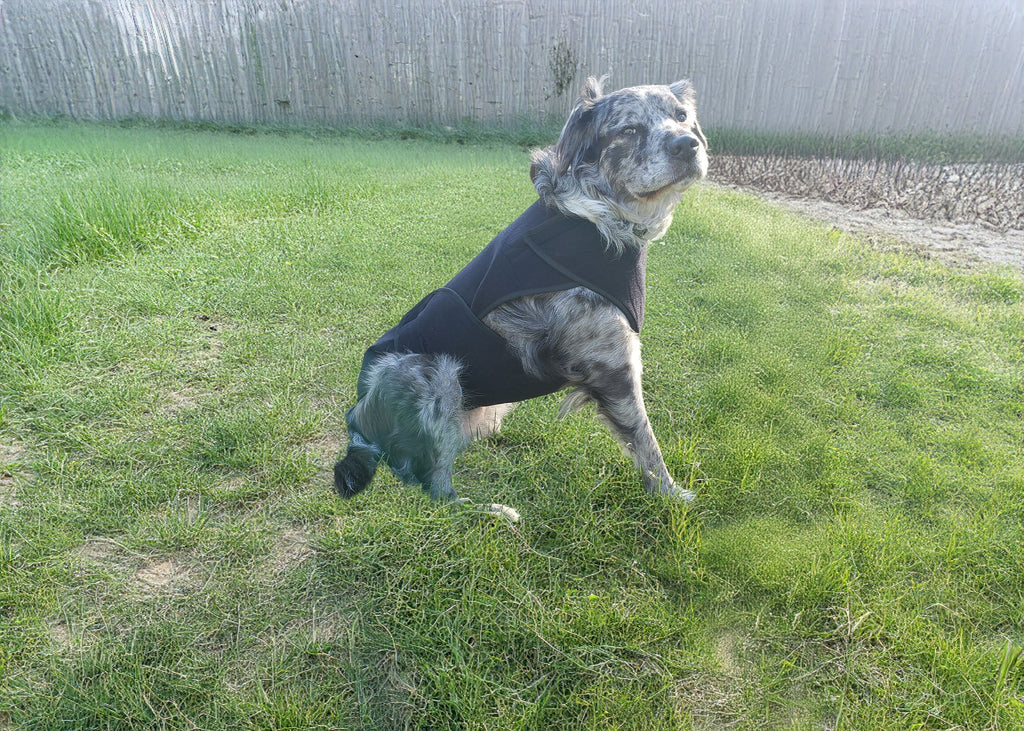 Healers Dog Anxiety Vest and Body Wrap,Front Module, Helps Reduce Anxiety and Protect Pet Post Surgery, Pet Apparel,Medium