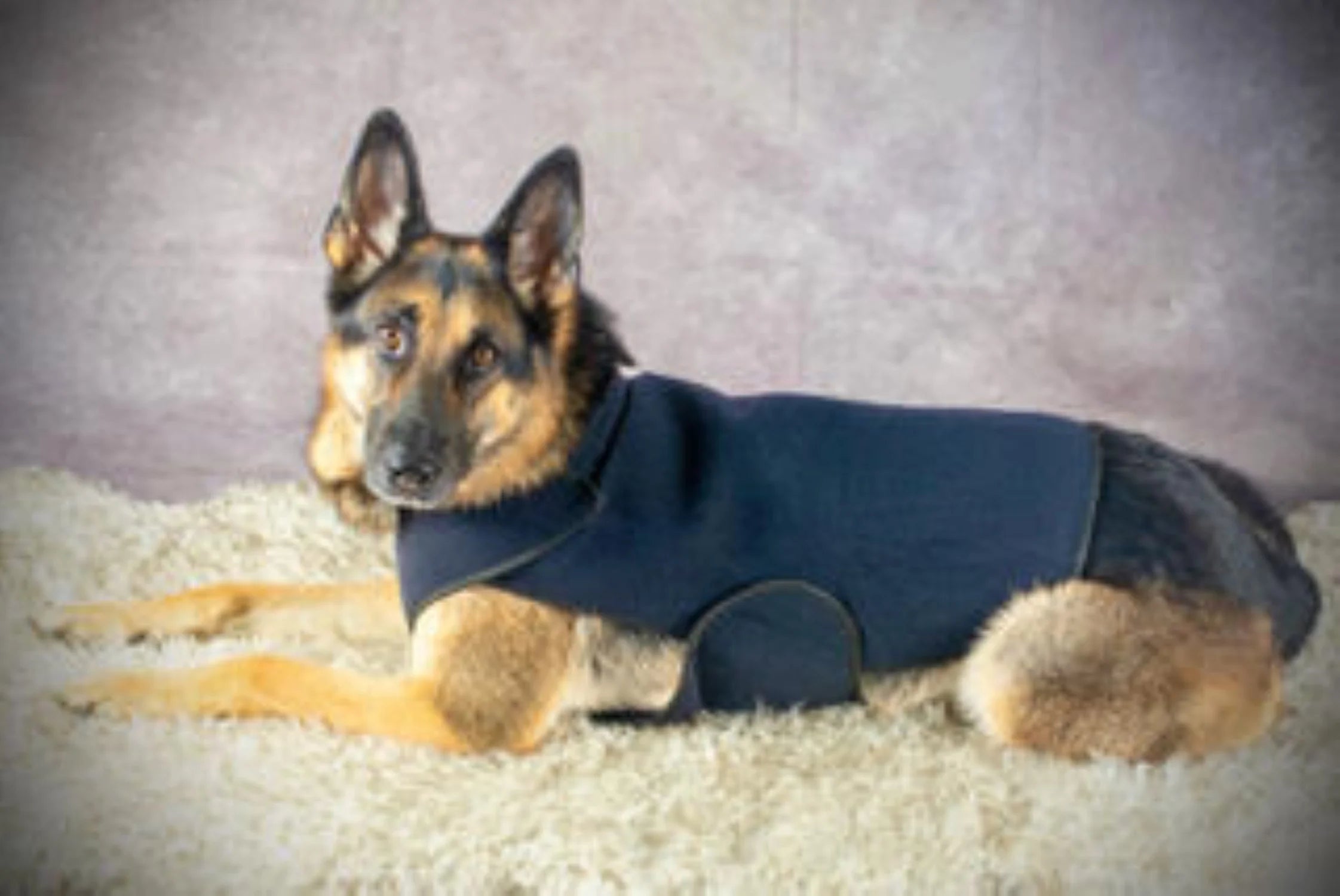 Healers Dog Anxiety Vest and Body Wrap,Front Module, Helps Reduce Anxiety and Protect Pet Post Surgery, Pet Apparel,Medium